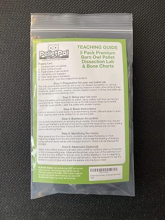 Premium Barn Owl Pellets, Small: 1.25-1.5 (Pack of 5) - Free Bone ID Chart, 5 Forceps, 5 Paddle Picks, and Teaching Guide Included!