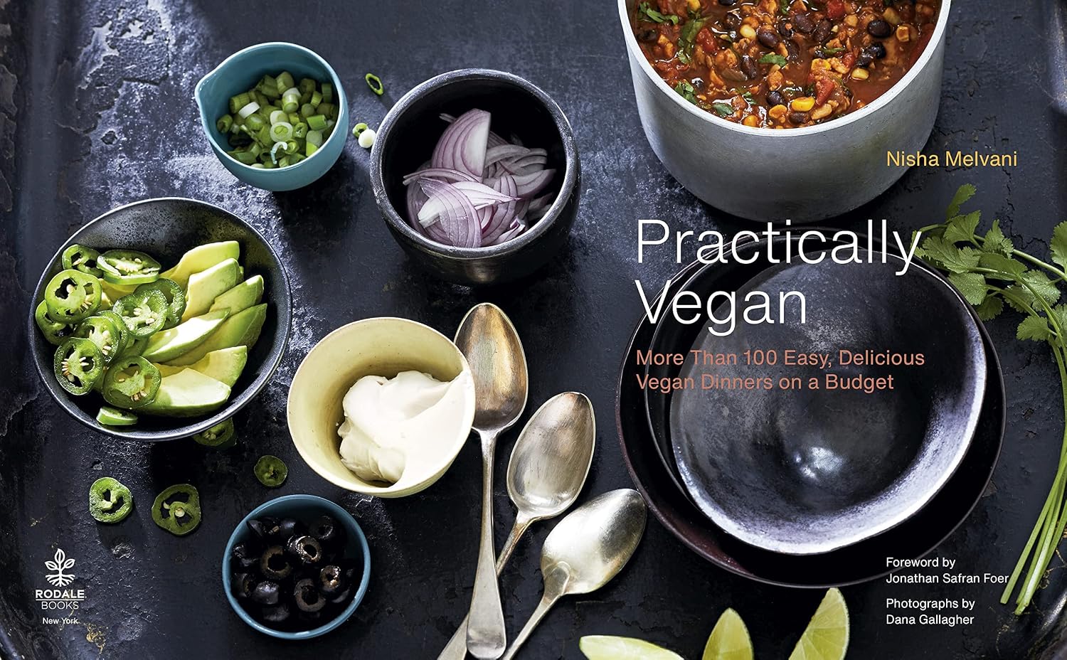 Practically Vegan: More Than 100 Easy, Delicious Vegan Dinners on a Budget: A Cookbook