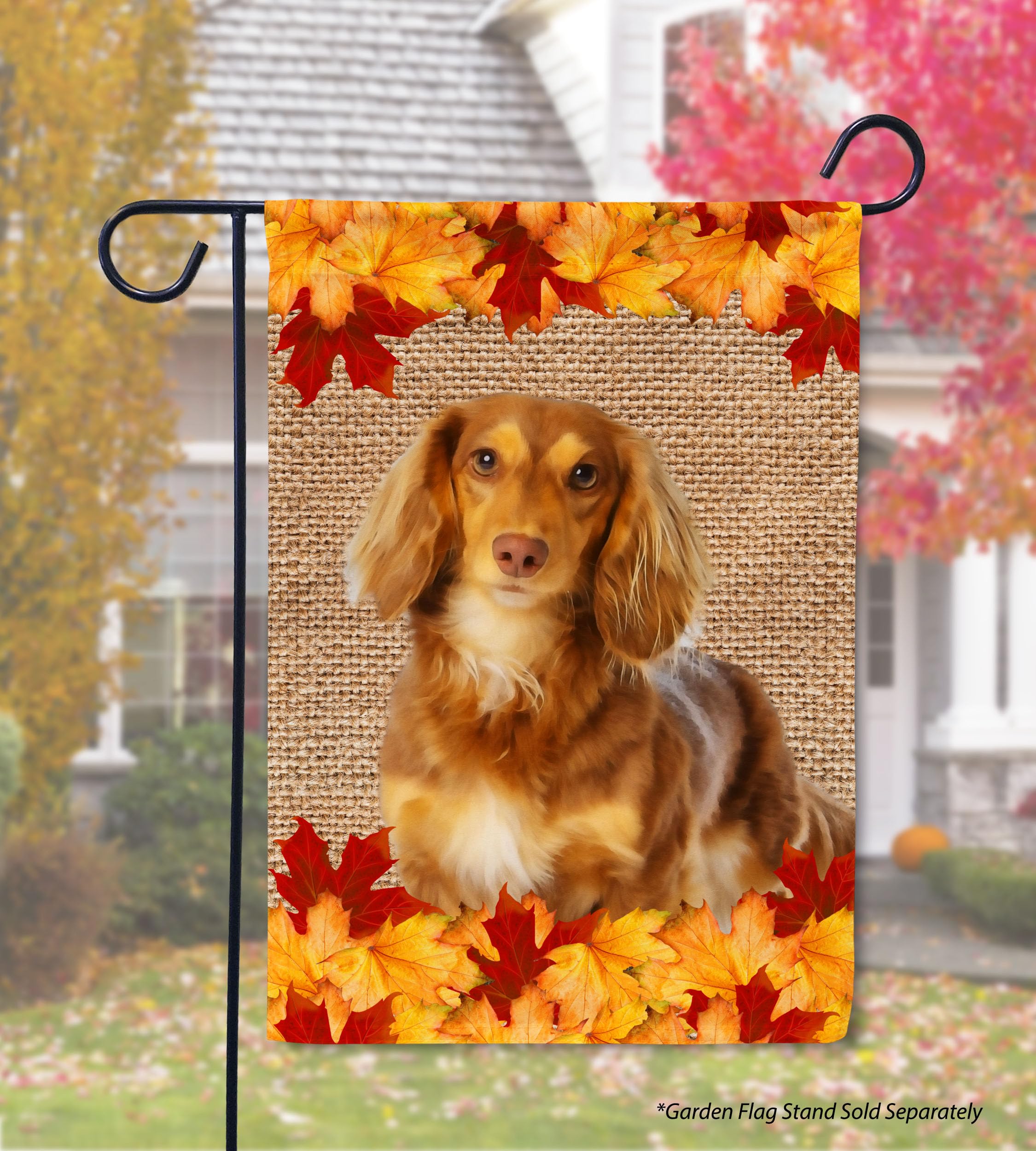 DLZDN Gartenflagge "Hello Fall" Mit Schwarzem Labrador & Kürbissen - Doppelseitig, 30,5x45,7cm, Jute-Look