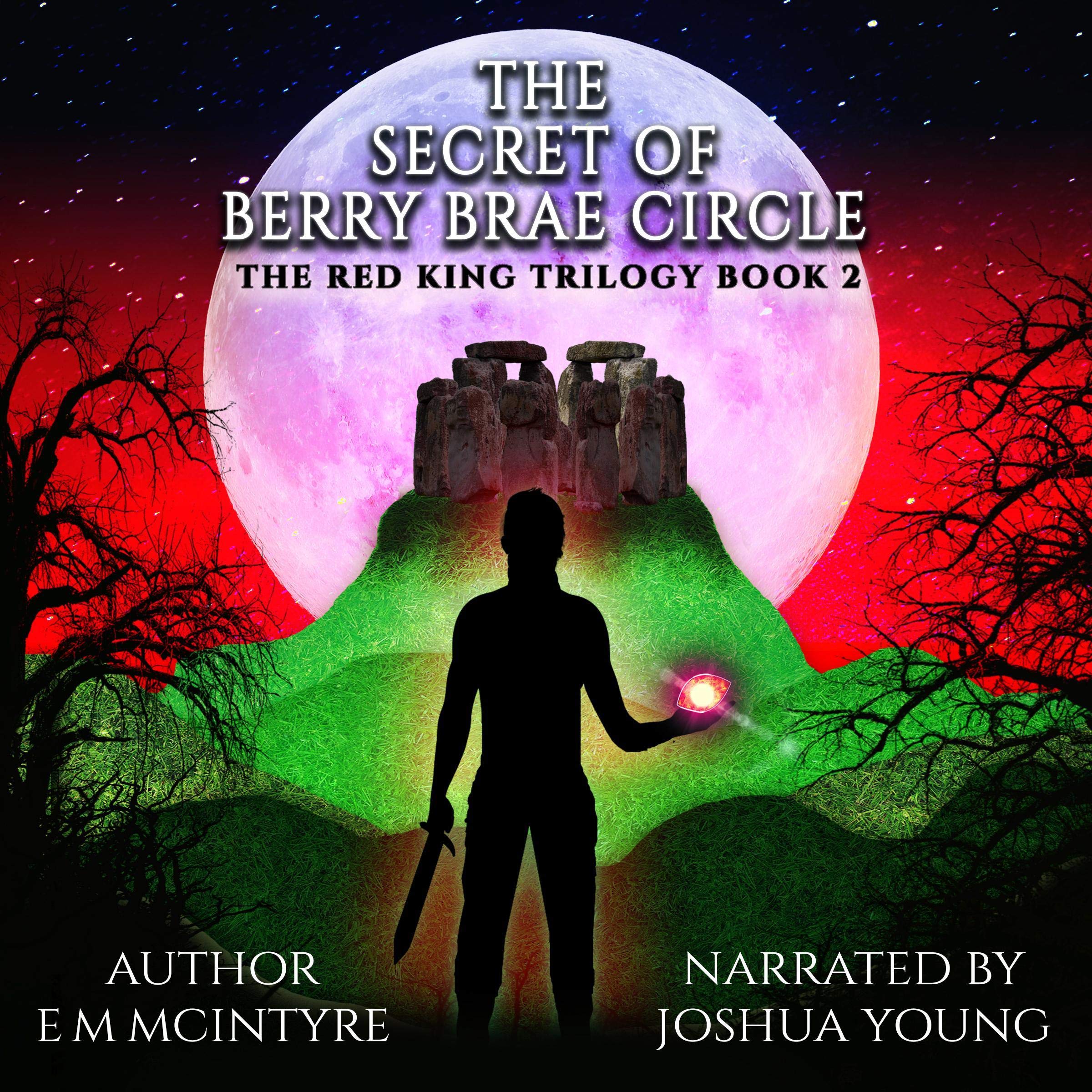 Cover art for The Secret of Berry Brae Circle