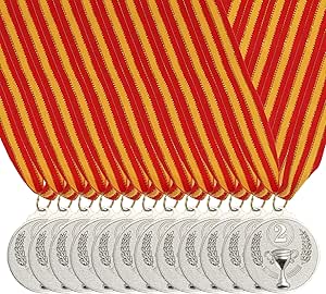 2nd Place Award Medals - Silver Sports Competition Medals With Neck Ribbons (6 Pack)