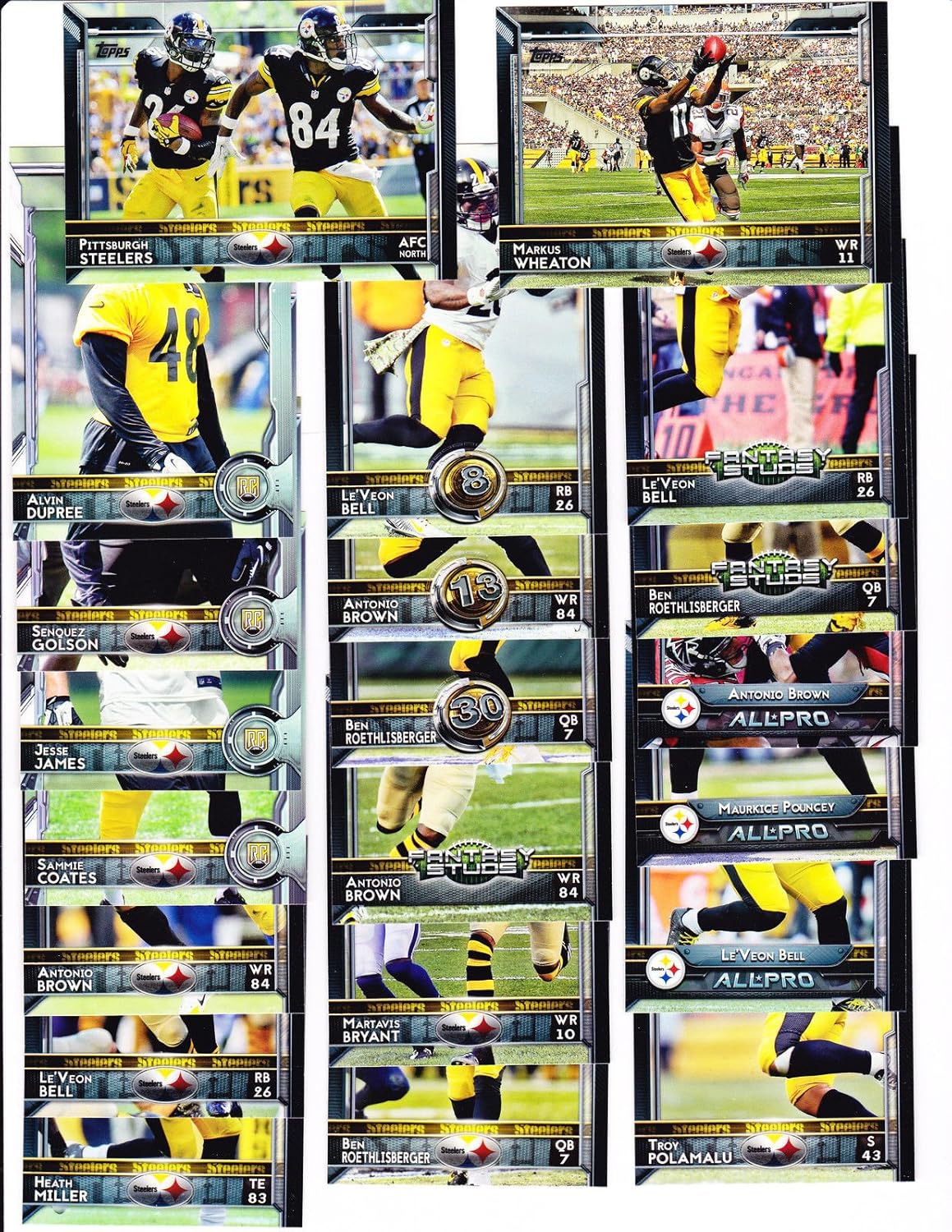 2015 Topps Football Pittsburgh Steelers team set - Bell, Brown, Roethlisberger shipped in an acrylic case with all rookie cards