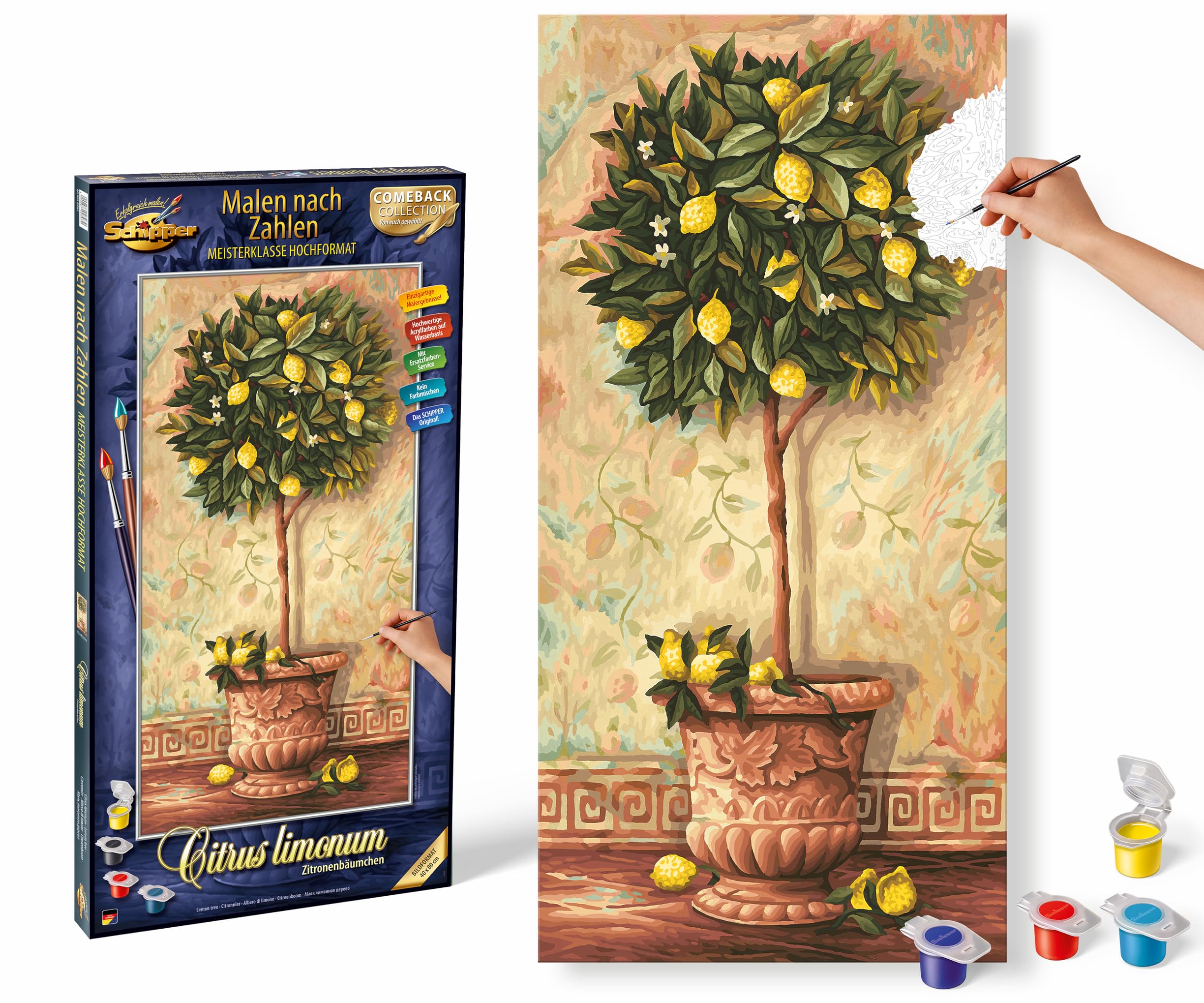 Schipper 609130717 - Disegnare A Numeri - Fiori Estivi - Nuovo
