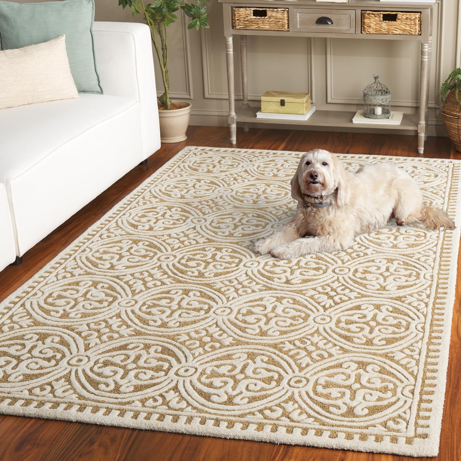 SAFAVIEH Cambridge Collection Area Rug - 5' x 8', Ivory & Gold, Handmade Wool, Ideal for Living Room, Bedroom, Home Office, Dining Space (CAM123F-5)