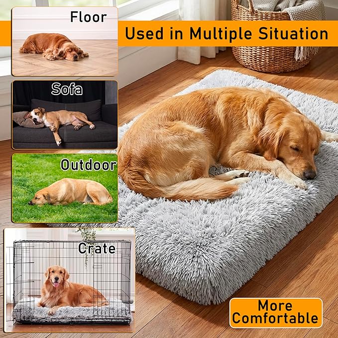 Cama Ortopédica para Perro Tamaño Mediano con Funda Removibl miniatura 3