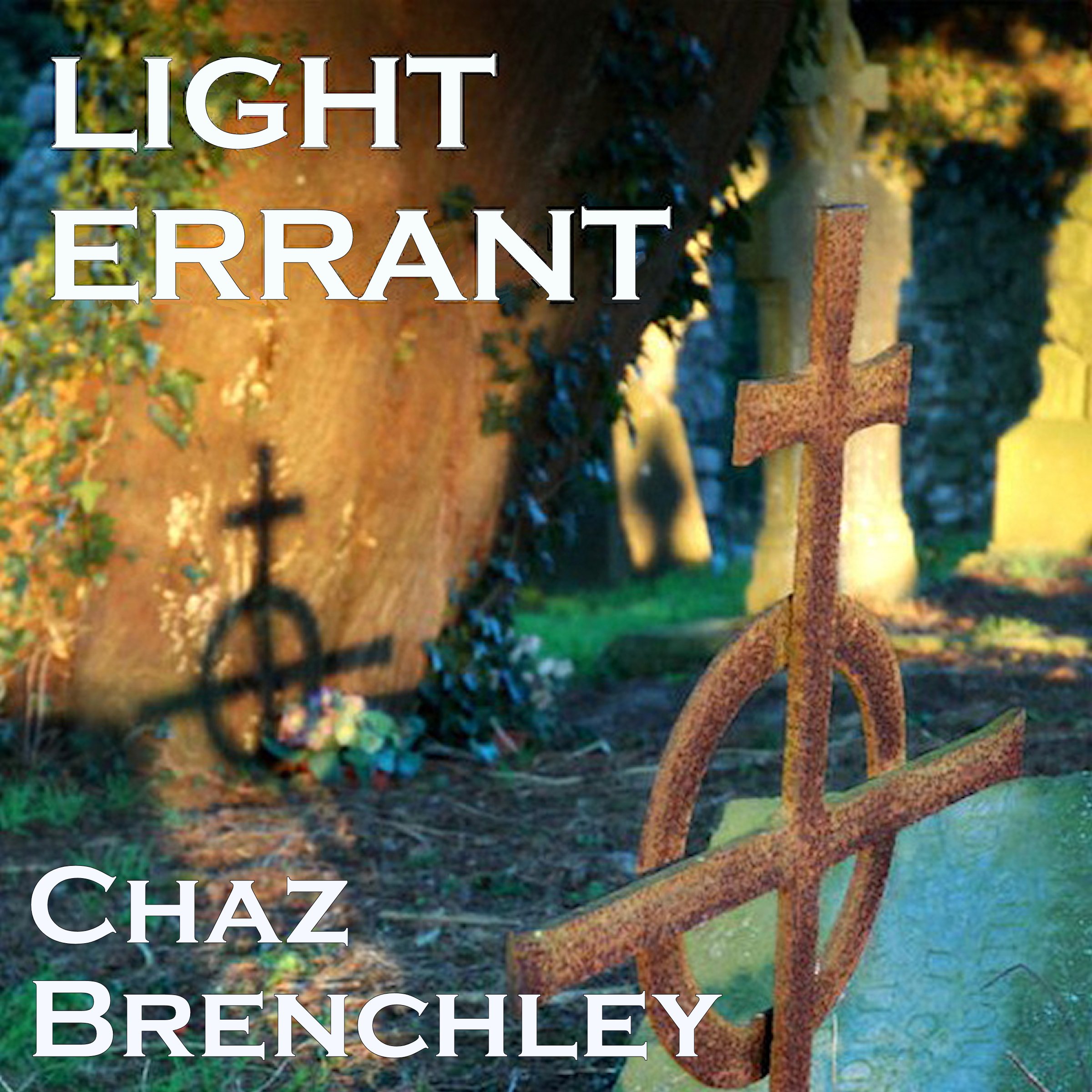 Cover art for Light Errant