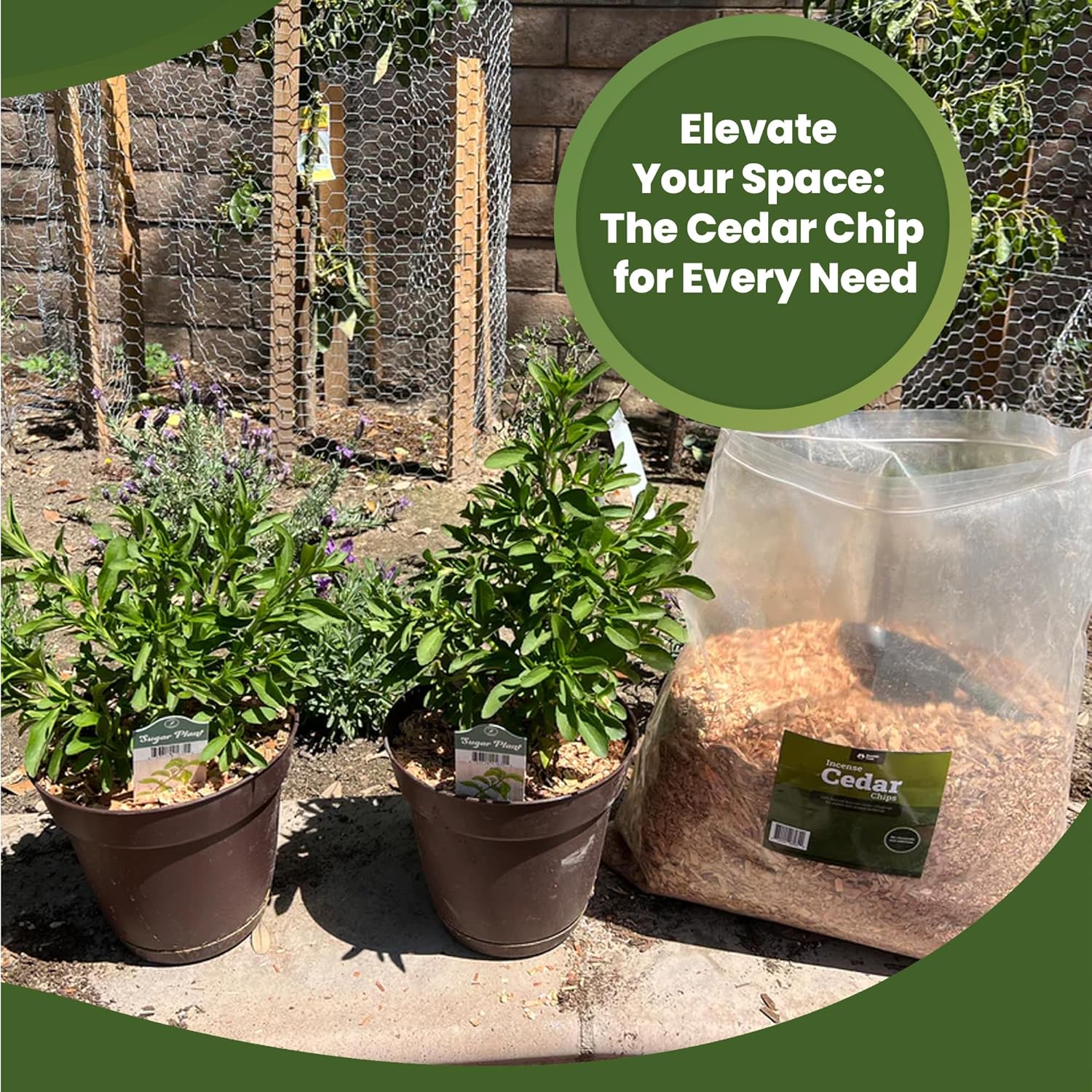 Double Tree Incense Cedar Wood Chips for Potted Plants, Garden, Animal Beddings and Litter Box - 100% Natural Perfect for Indoor and Outdoor Use… (64 Quart)