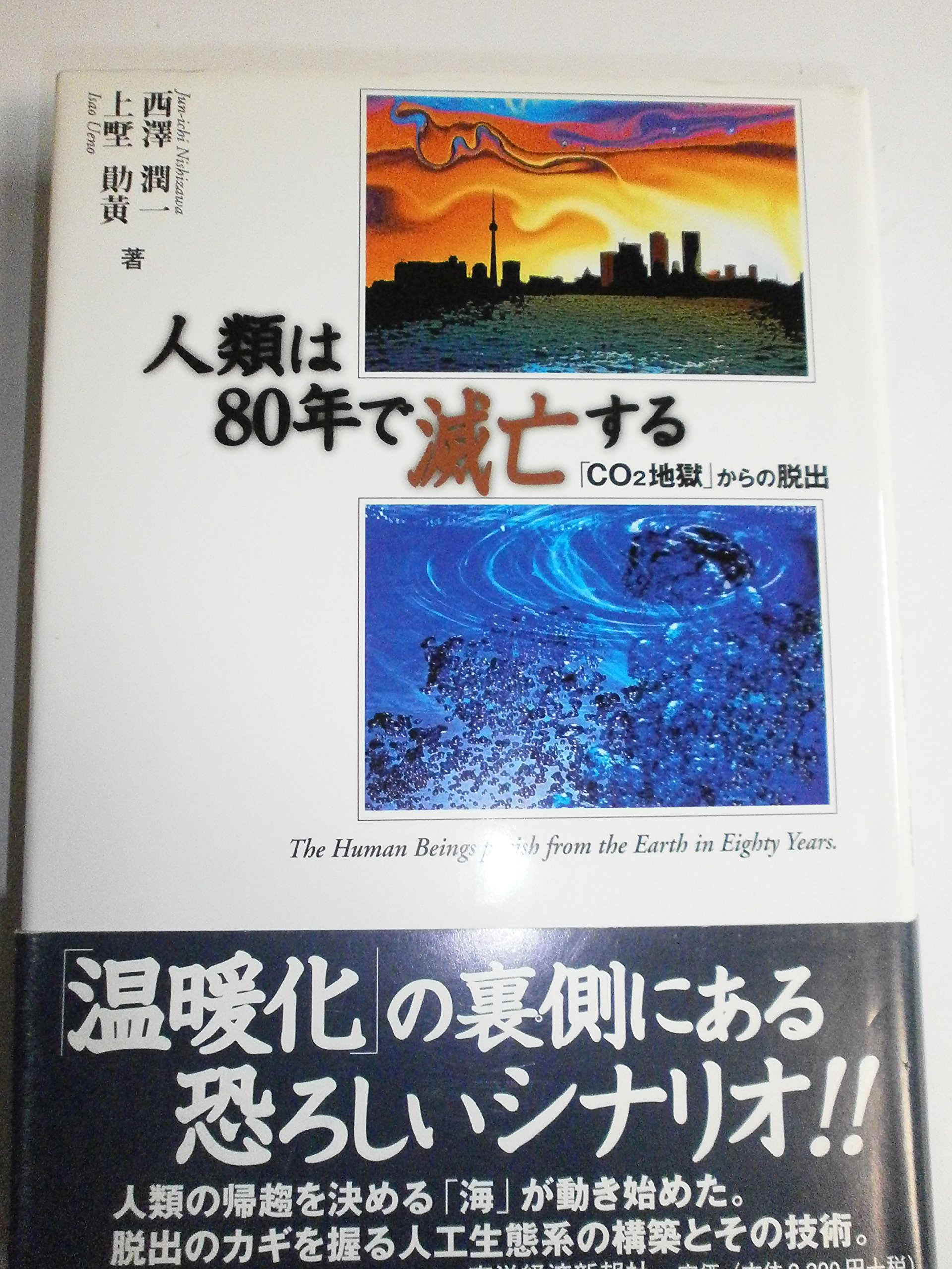 人類創生 2001年2月11日世界に何が起こるのか　　佐藤泰秀著 稀少古本 人類創生 2001年2月11日世界に何が起こるのか 佐藤