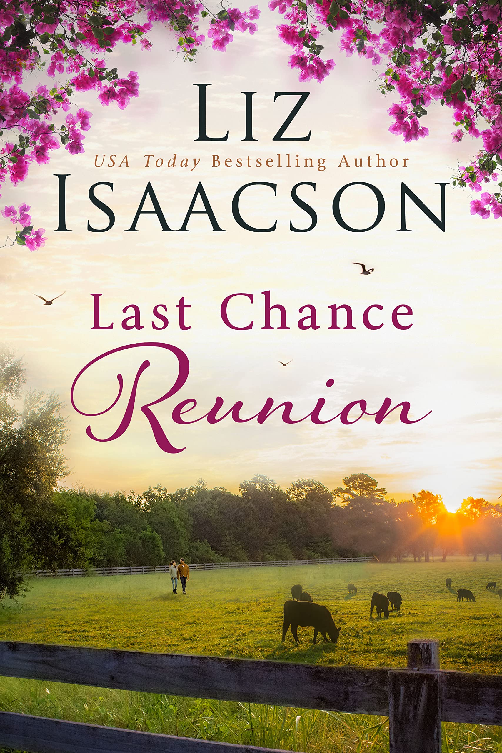 Last Chance Reunion (Last Chance Ranch Romance Book 4)