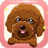 Toy Poodle Dog Sticker Emojis - Gif Animated Keyboard App