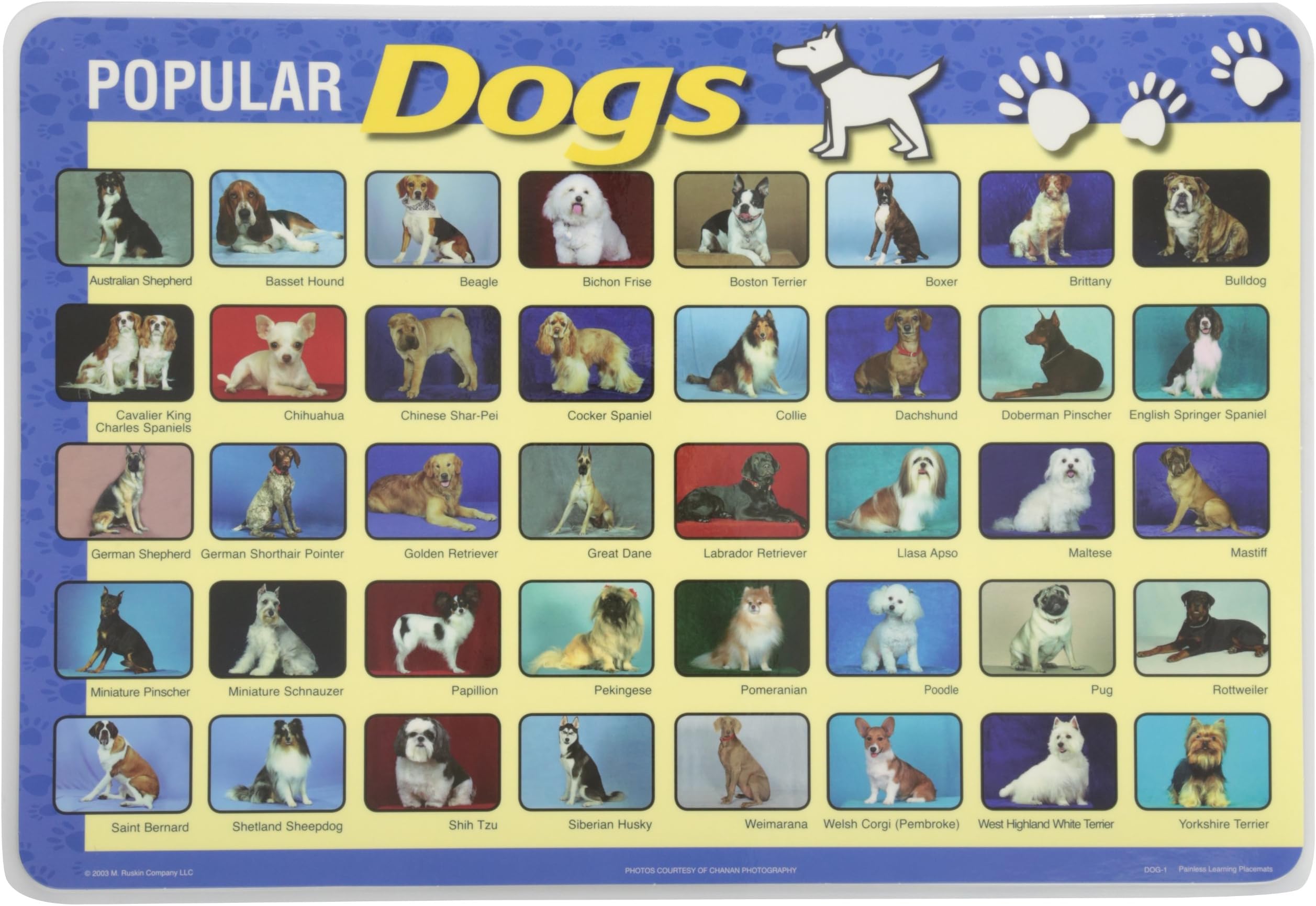Popular Dogs Placemat, Medium