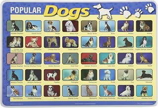 Painless Learning Popular Dogs Placemat, Medium
