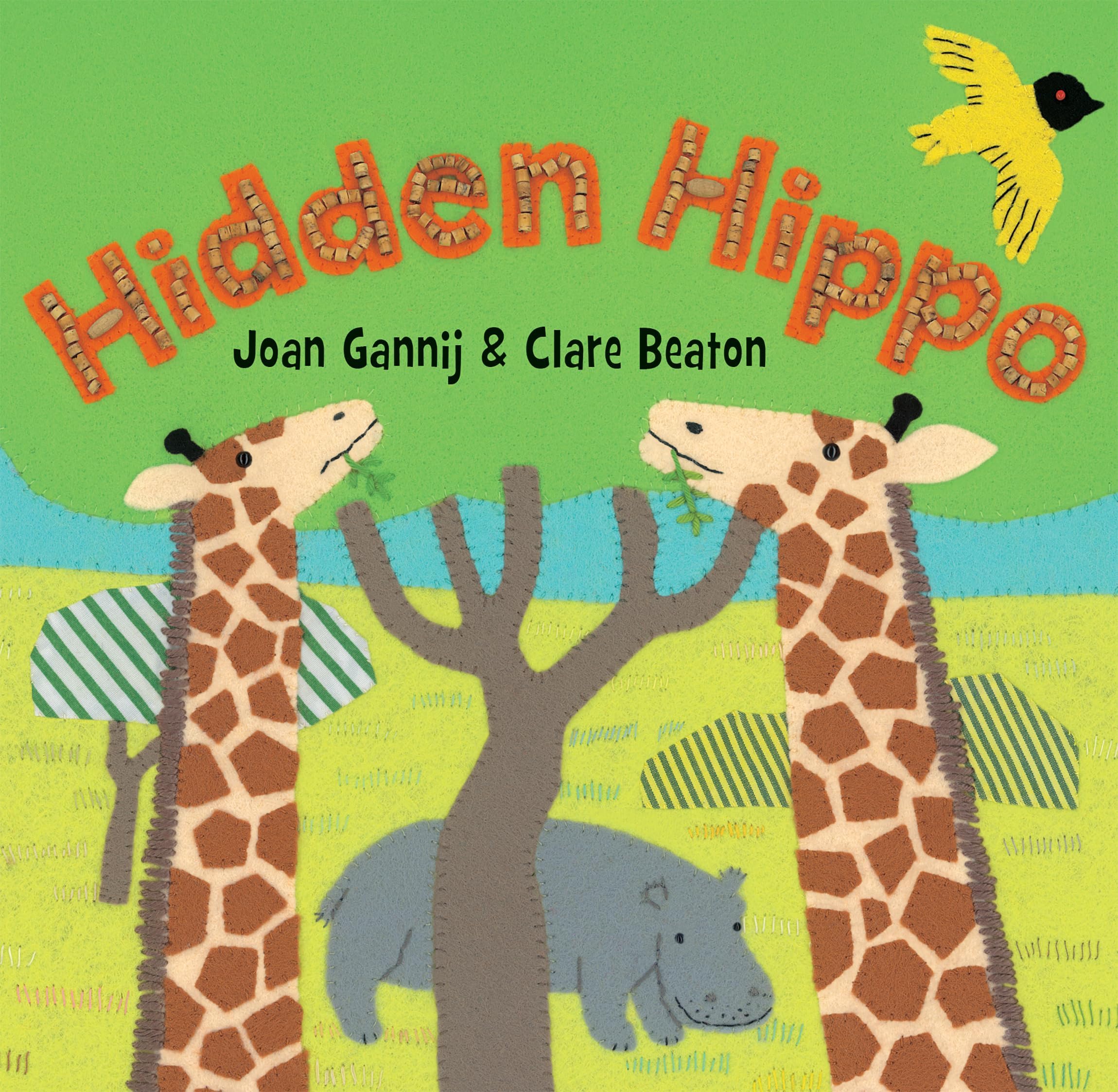 Hidden Hippo (Fun First Steps)