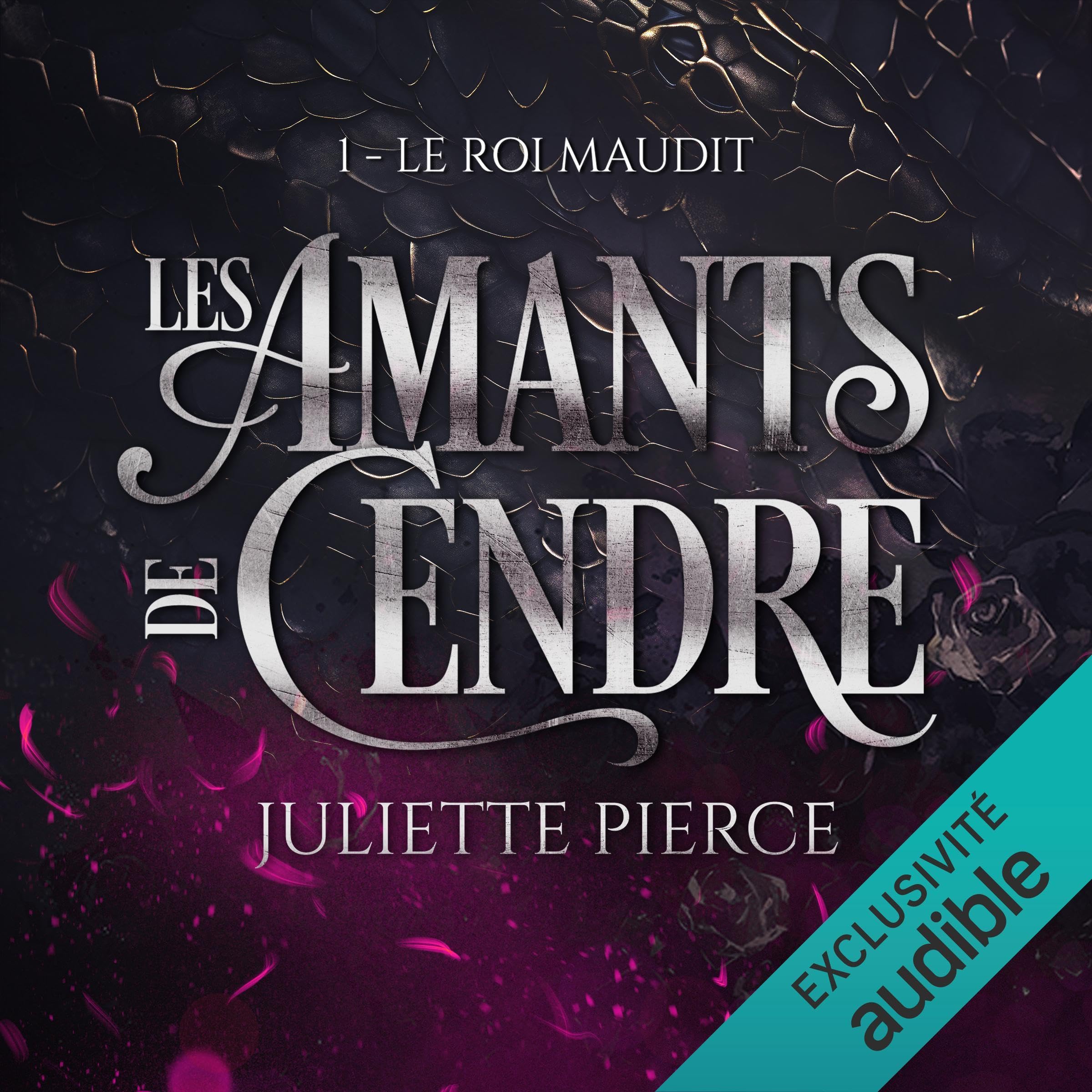Cover art for Le roi maudit