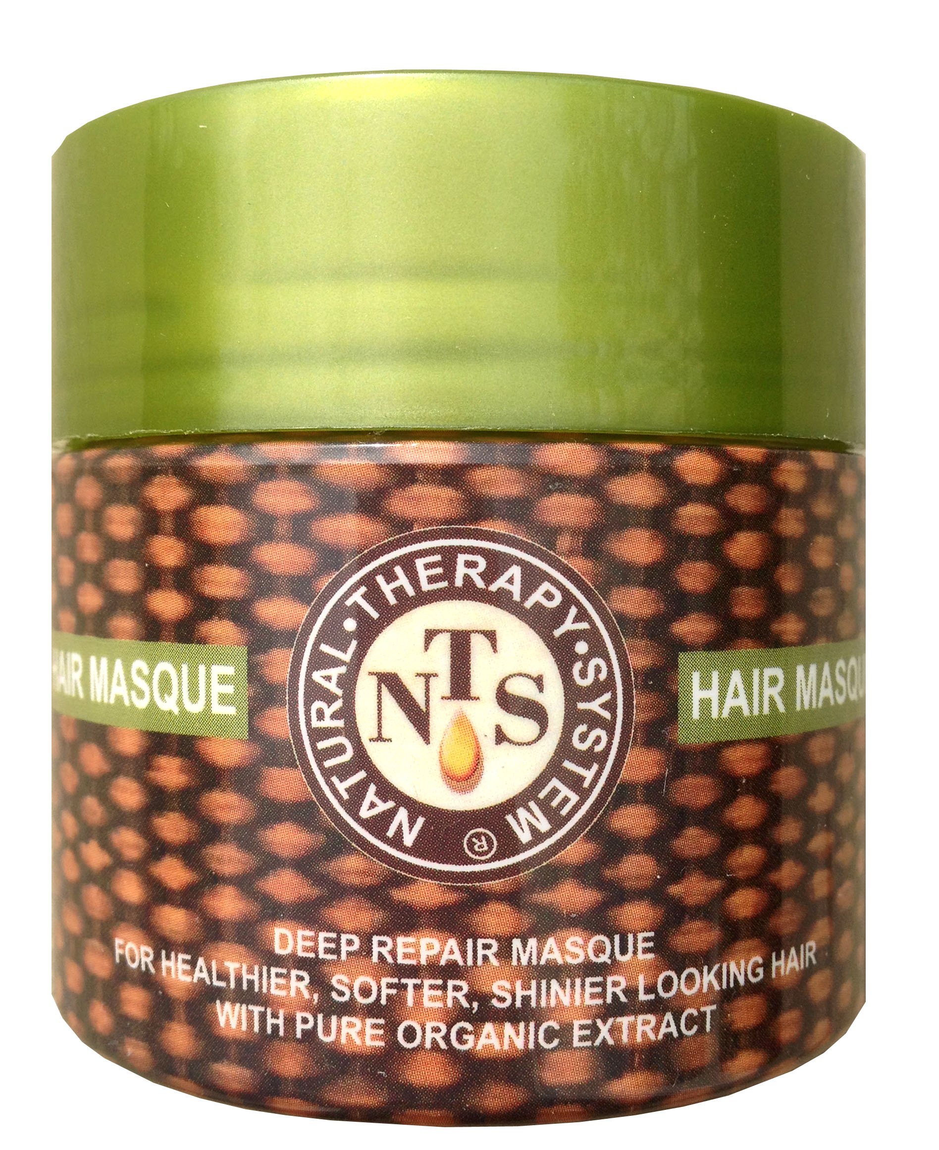 Natural Therapy System Six Therapeutic Oils Hair Repair Masque (8 Oz)