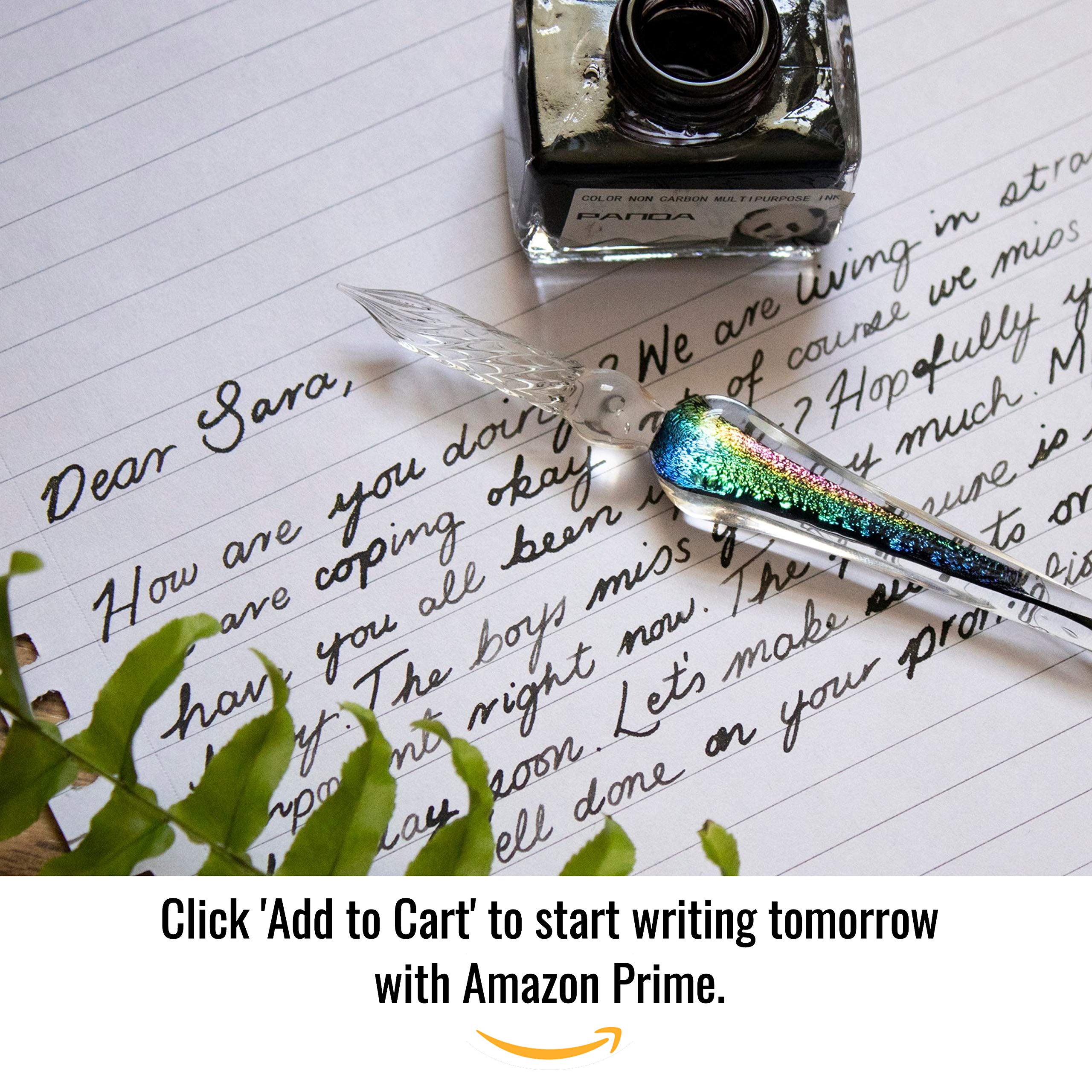 Glass Dip Pen Set With Ink (5 Colors) Glass Pen & Dip Pen Ink Glass