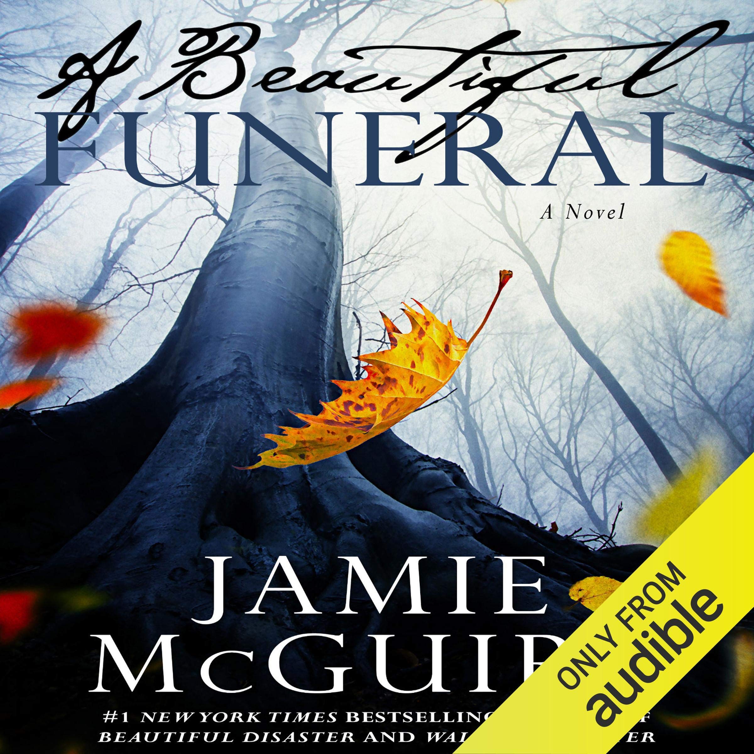 Cover art for A Beautiful Funeral