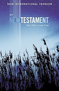 NIV, Outreach New Testament, Large Print, Paperback