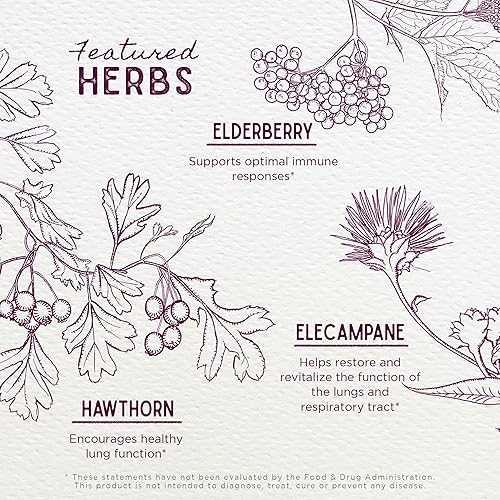 Miniatura 4 de WishGarden Herbs - Jarabe calmante para la tos seria  Supresor de la tos natural de hierbas diurnas sin somnolencia para adultos con saúco calma el