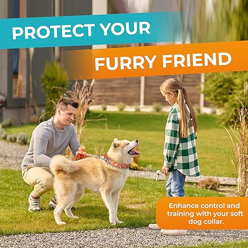 Miniatura 6 de Cookie Paws Collar acolchado de neopreno suave para perros pequeños, cómodo, ajustable, de liberación rápida, duradero, transpirable, fácil de