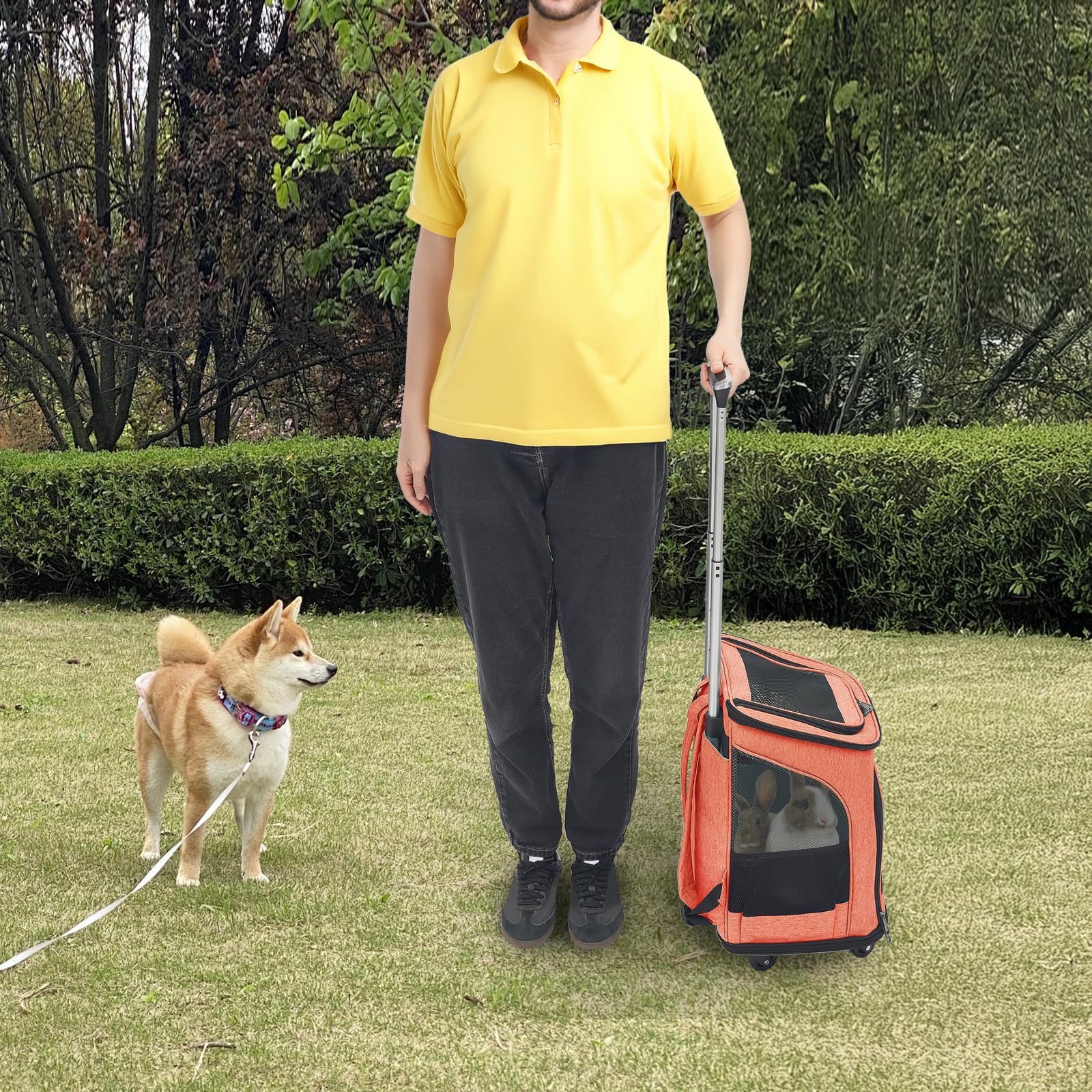 Zaino per animali domestici, pieghevole, con ruote, zaino per cani e gatti con trolley 2 in 1 a 9 kg, traspirante, trasparente per cani e gatti (arancione)