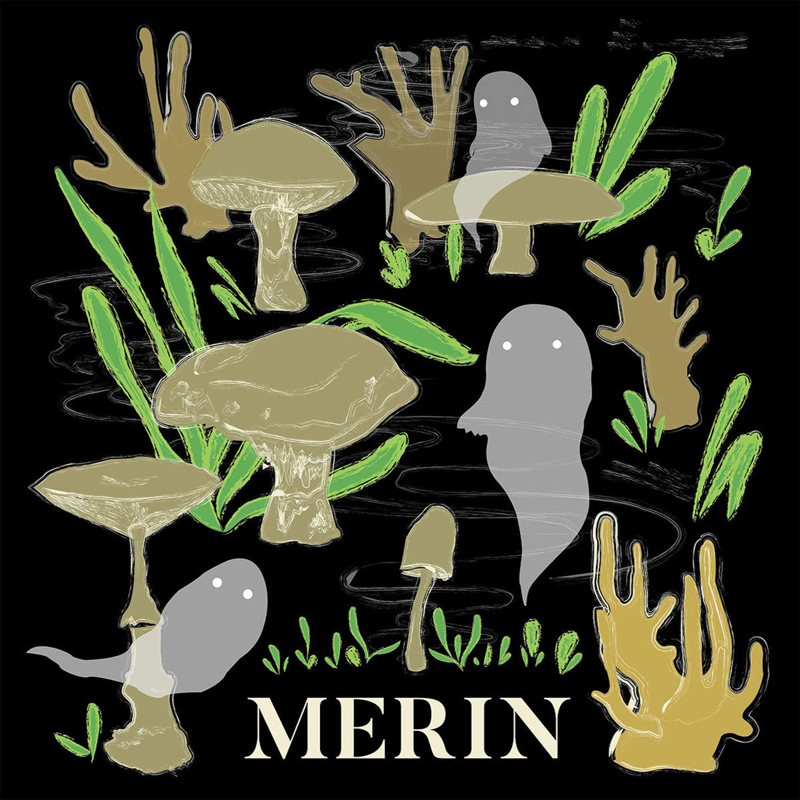 Merin