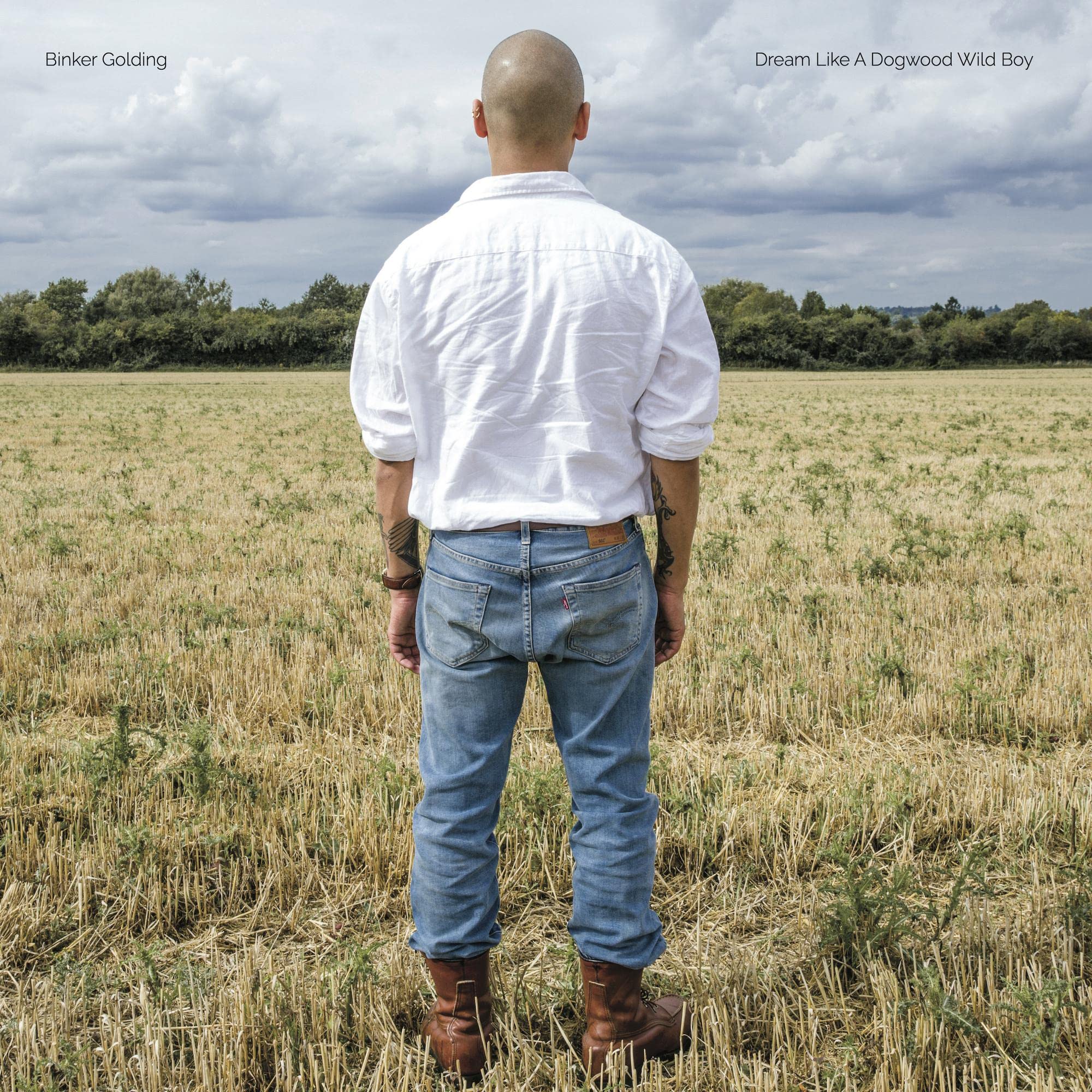 Dream Like a Dogwood Wild Boy [VINYL]