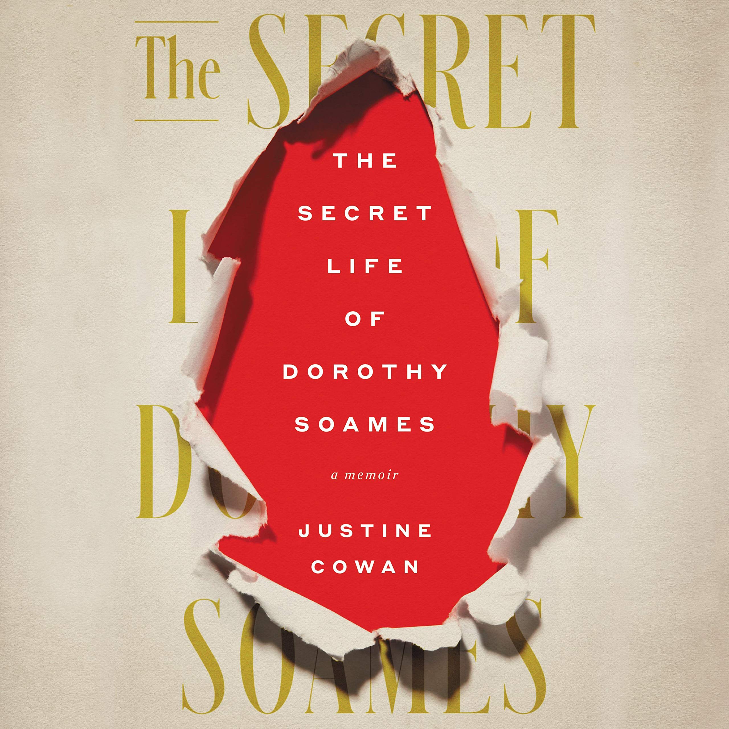 Cover art for The Secret Life of Dorothy Soames