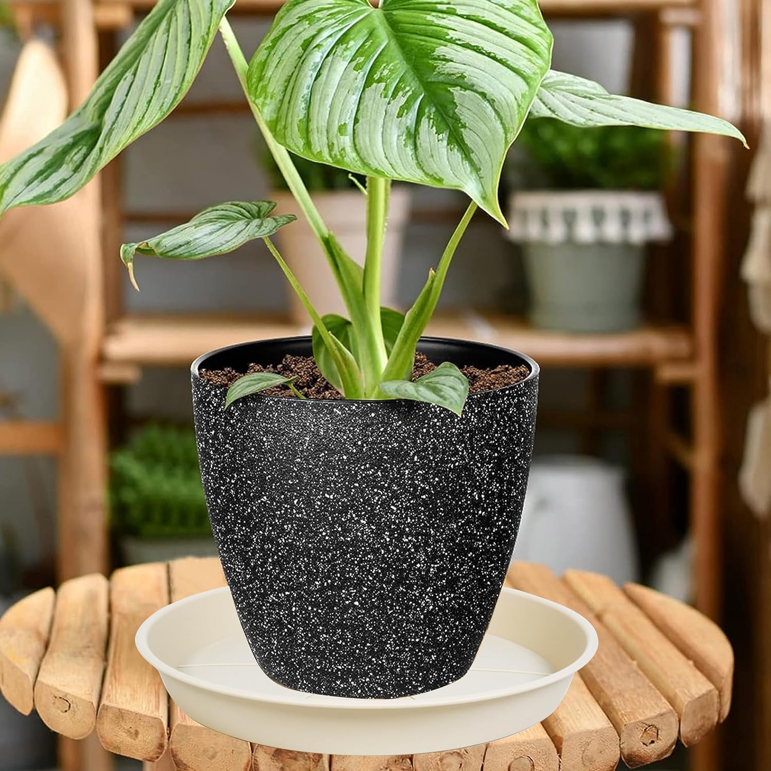 COLOR BLACK Size 26inch  6 pack of Plant Saucer Tray , Heavy Duty Plastic Pot Plant Drip Trays Saucers for Indoors Outdoor, Plant Water Tray for Planters