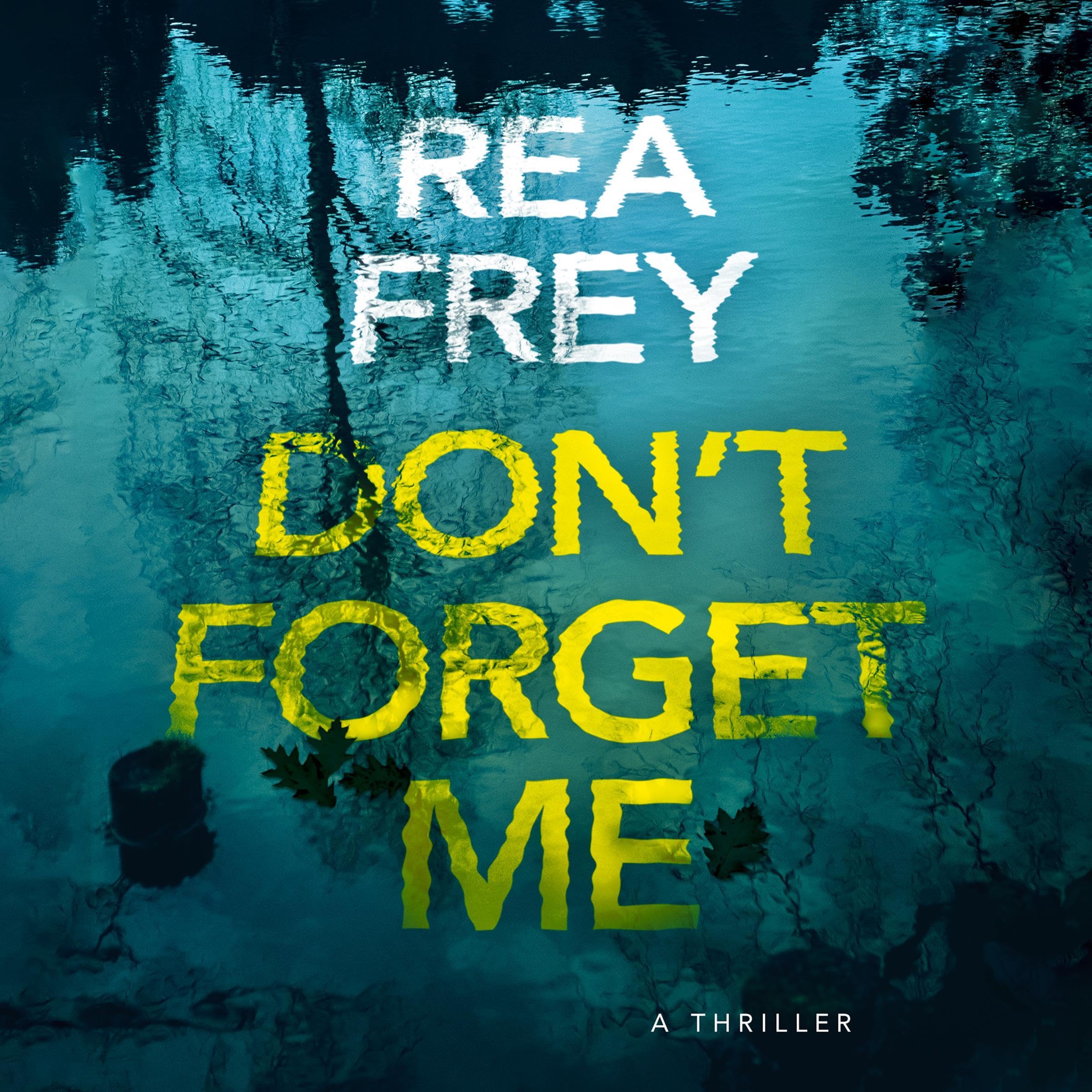 Cover art for Don't Forget Me