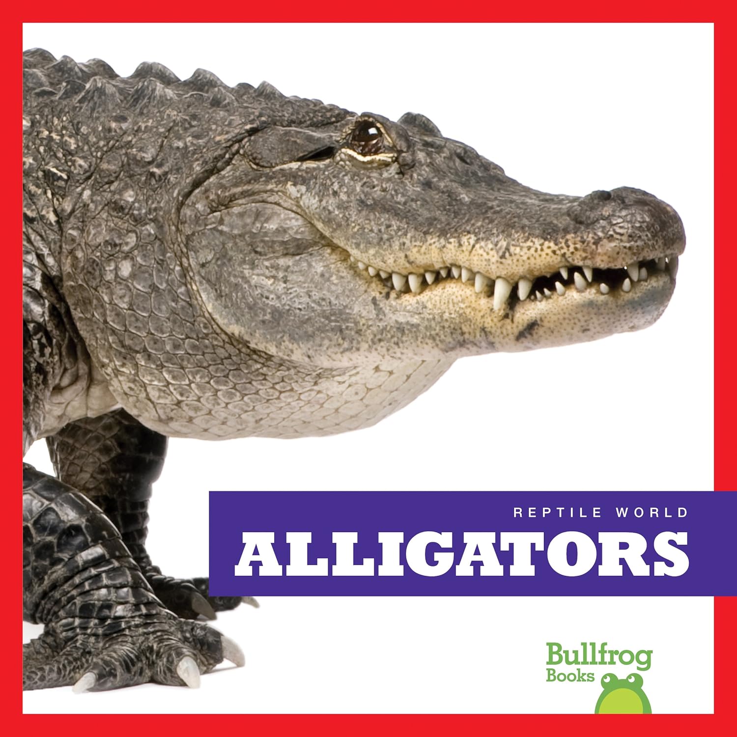 Amazon.com: Alligators (Bullfrog Books: Reptile World): 9781620313794 ...