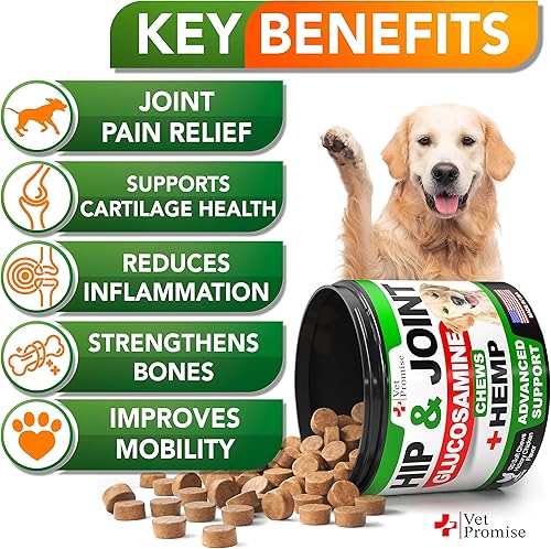 Miniatura 2 de Suplemento de apoyo para cadera y articulaciones de cáñamo para perros - Glucosamina para perros - Suplemento para articulaciones de perro -