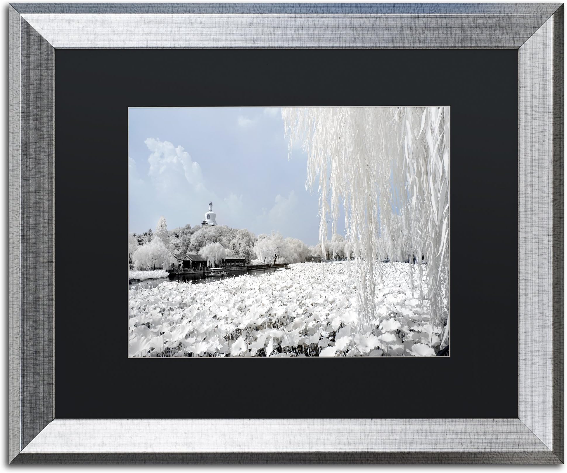 Lotus Lake by Philippe Hugonnard, Black Matte, Silver Frame 16x20-Inch