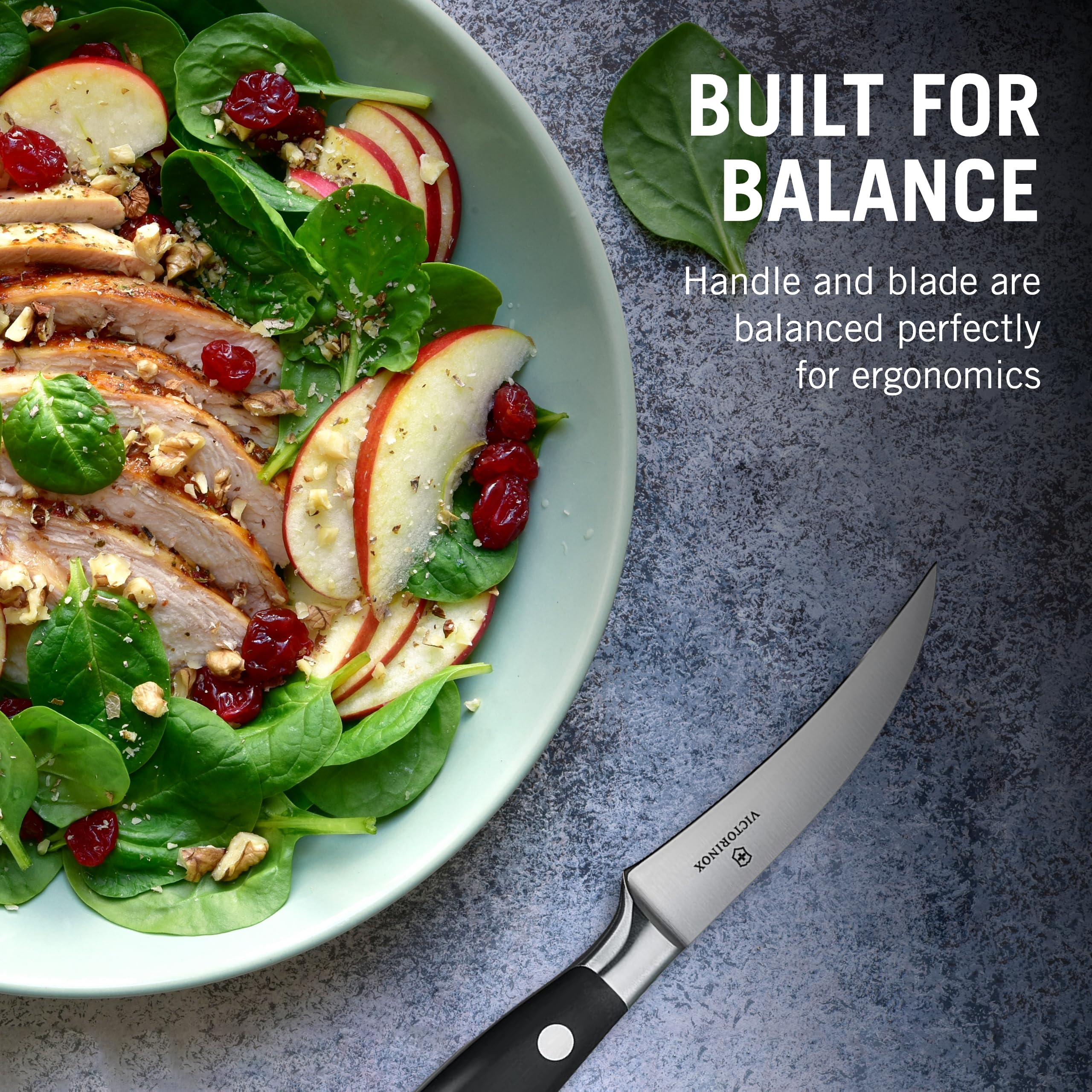 Amazon.co.jp: VICTORINOX(ビクトリノックス) ペティナイフ 食洗