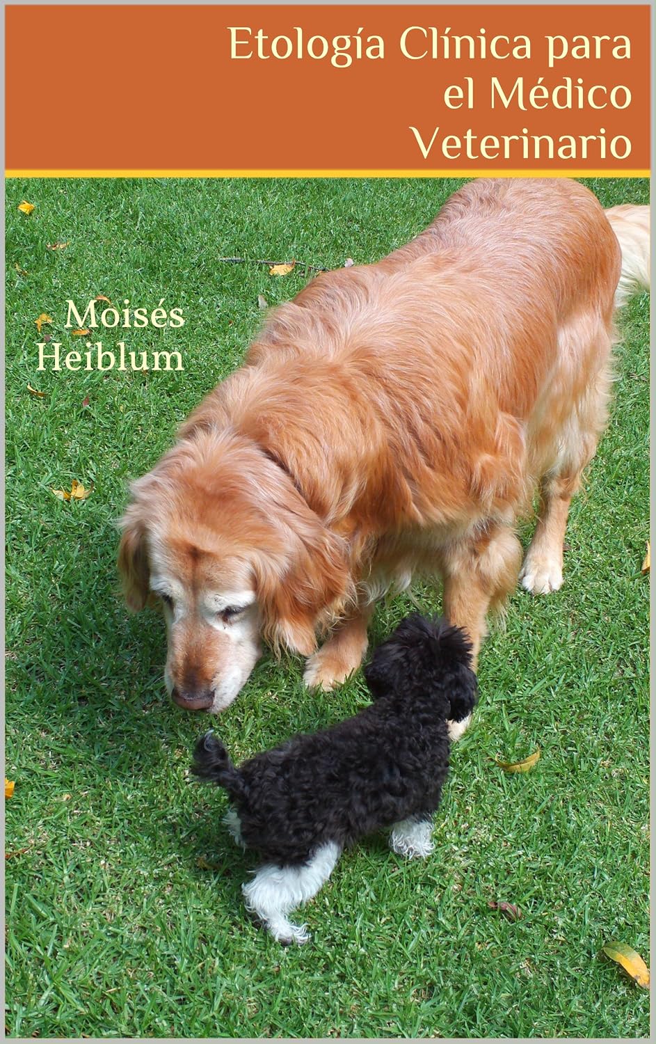 Etología Clínica para el Médico Veterinario (Spanish Edition): Moisés Heiblum
