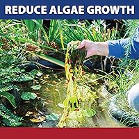 Vista 4 de The Pond Guy InstaFix Control de algas, jardín de agua al aire libre, fuente y solución de algas para baño, algas líquidas registradas por la EPA