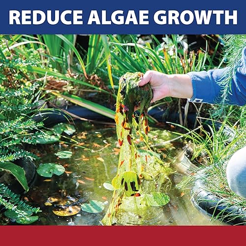 Miniatura 4 de The Pond Guy InstaFix Control de algas, jardín de agua al aire libre, fuente y solución de algas para baño, algas líquidas registradas por la EPA