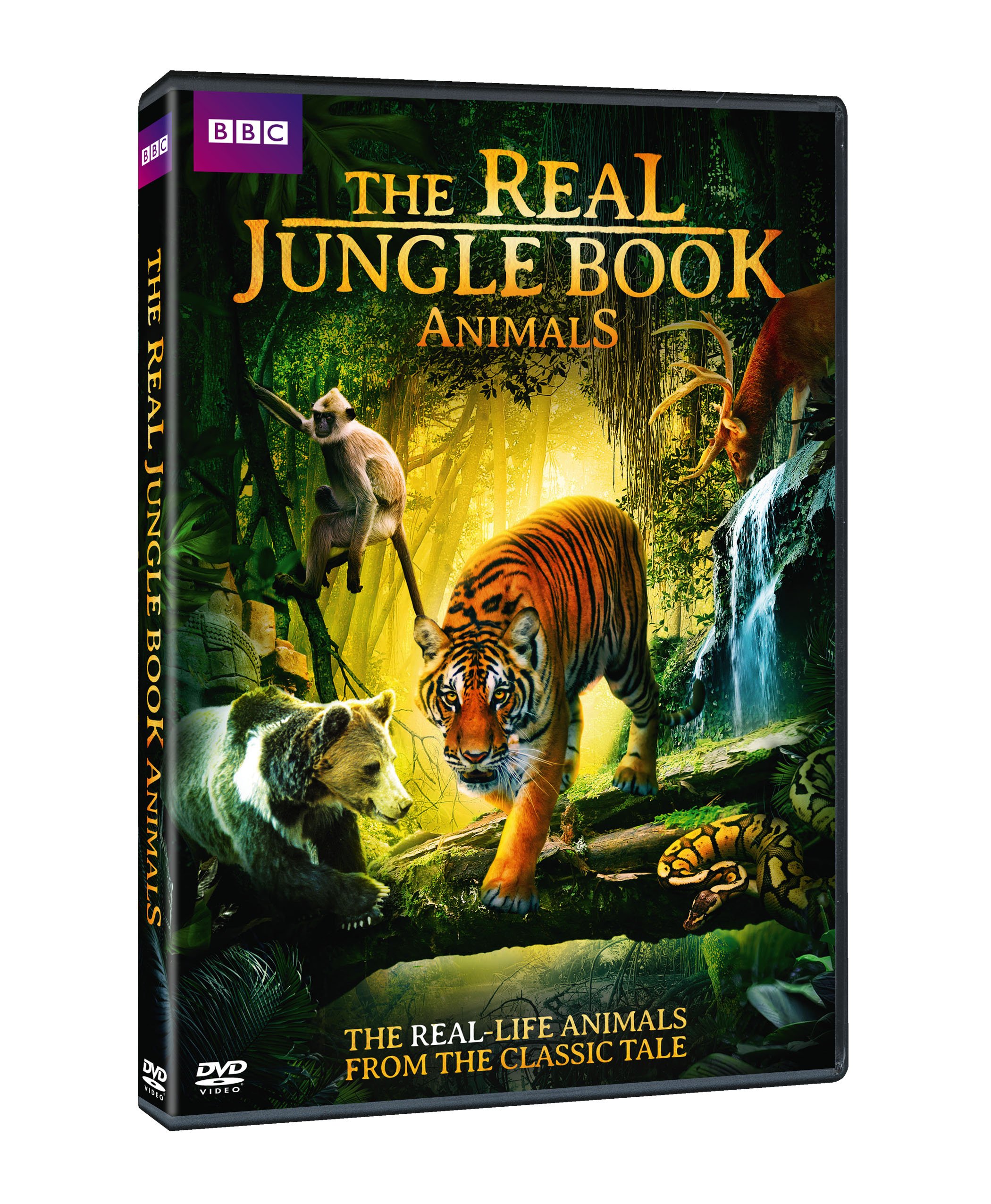 Real Jungle Book Animals DVD para tardes de cine familiar y aprendizaje en casa