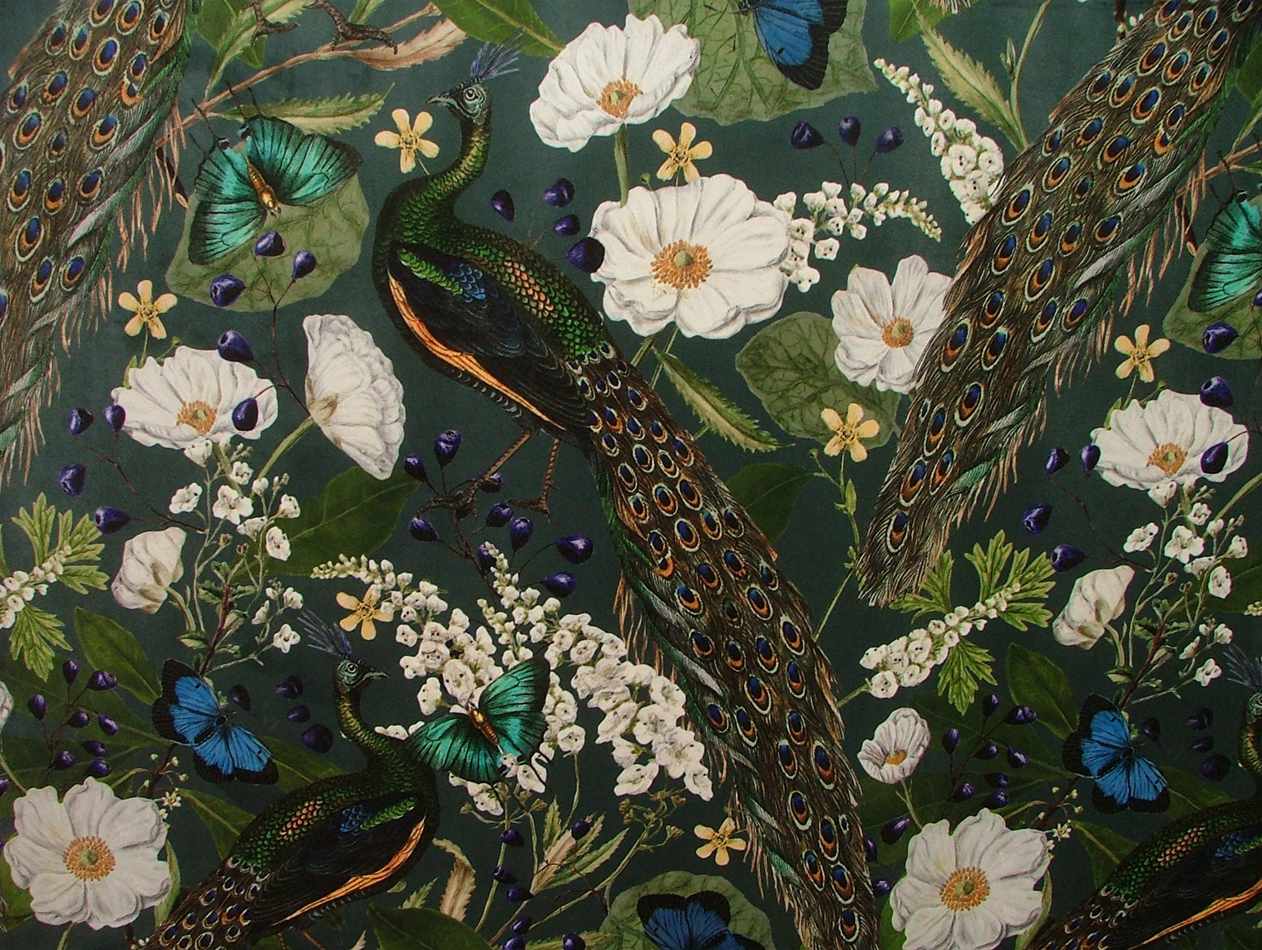 Pandoras Upholstery Multicolor Peacock Butterflies Birds Botanical Curtain Upholstery Cushion Velvet Fabric (Per Full Metre)
