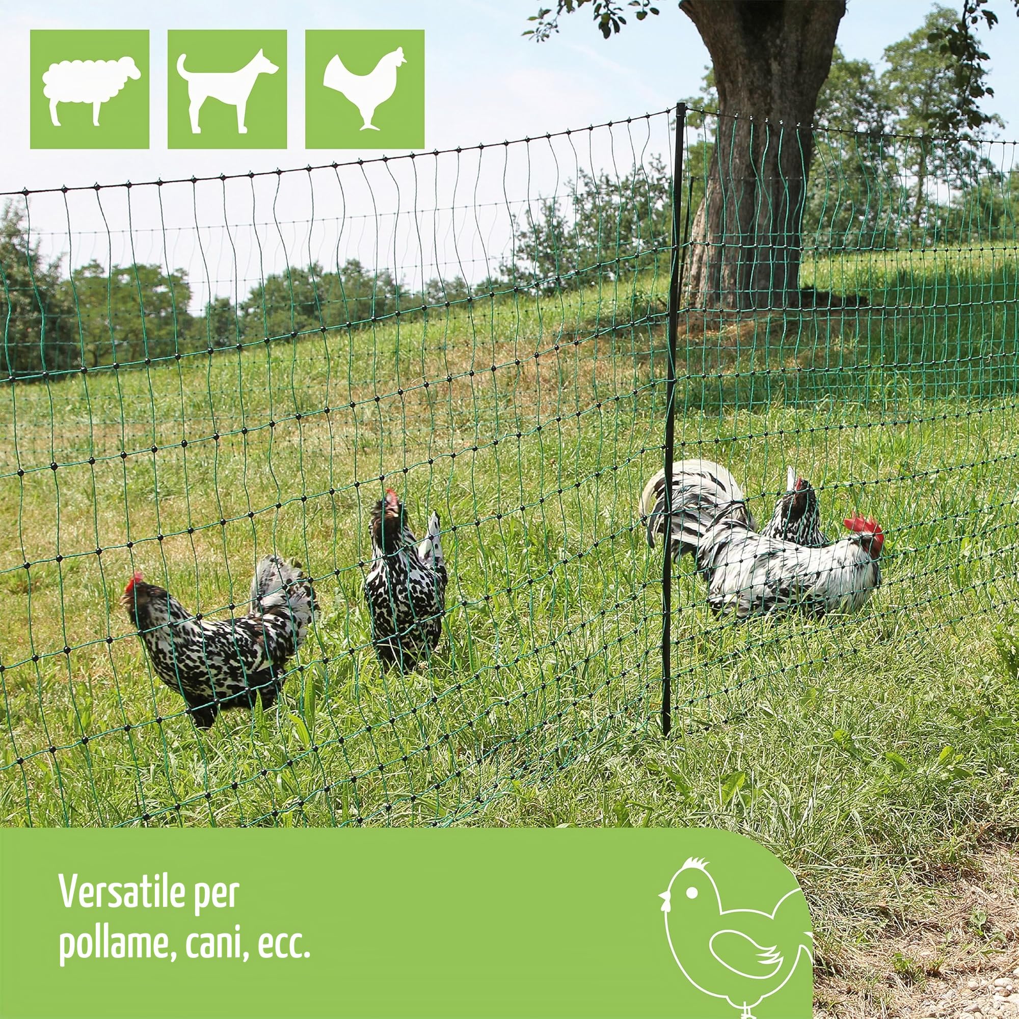 KERBL Filet pour les poules 25 m - 106 cm - double pointe - vert - non électrique