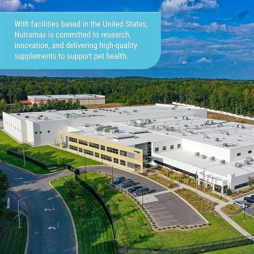 Miniatura 8 de Nutramax Cosequin Suplemento de salud articular de fuerza estándar para perros, con glucosamina y MSM, 75 tabletas masticables (paquete de 2)