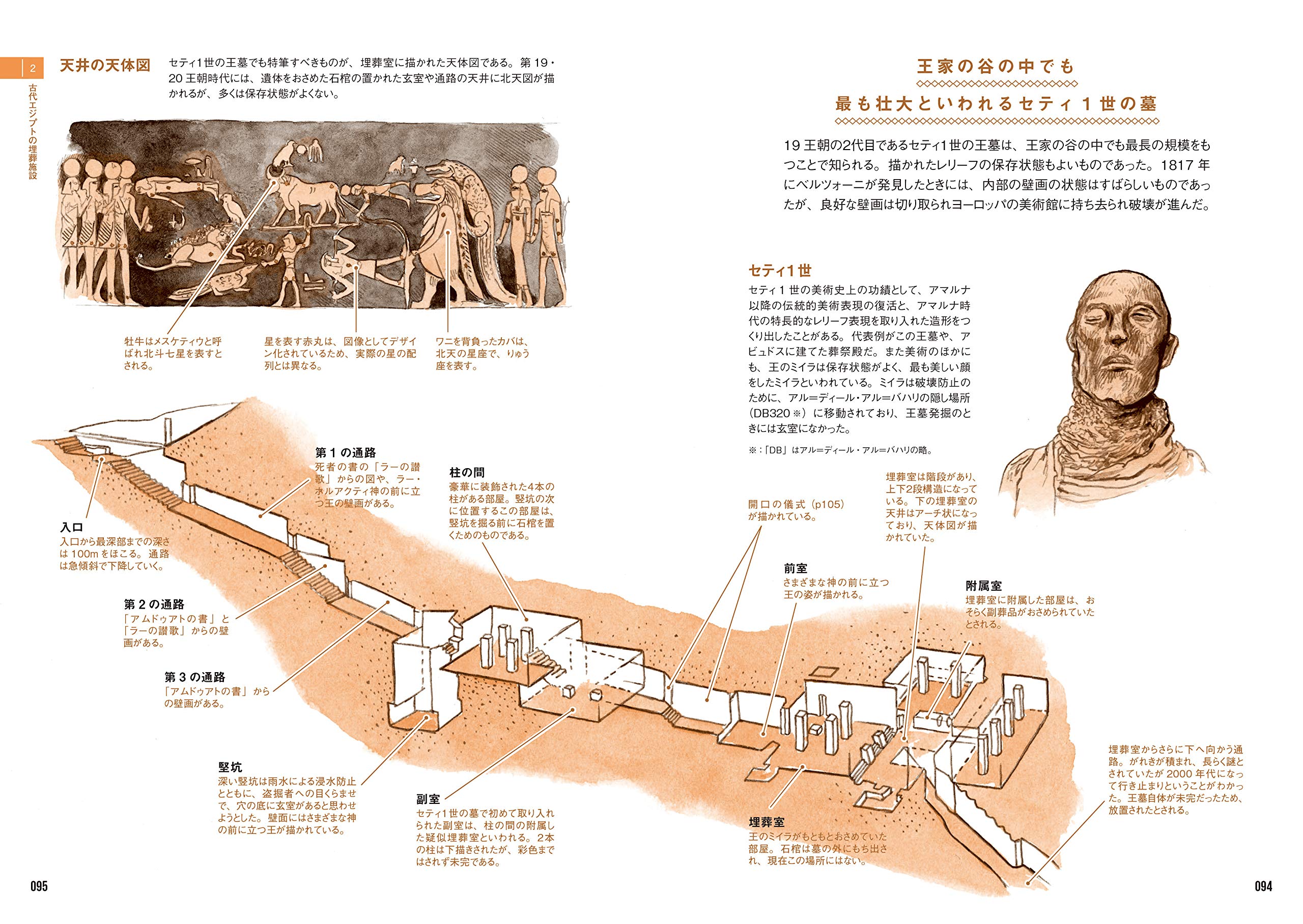古代エジプト解剖図鑑 二郎 近藤 本 通販 Amazon 古代エジプト解剖図鑑 二郎 近藤 本 通販 Amazon