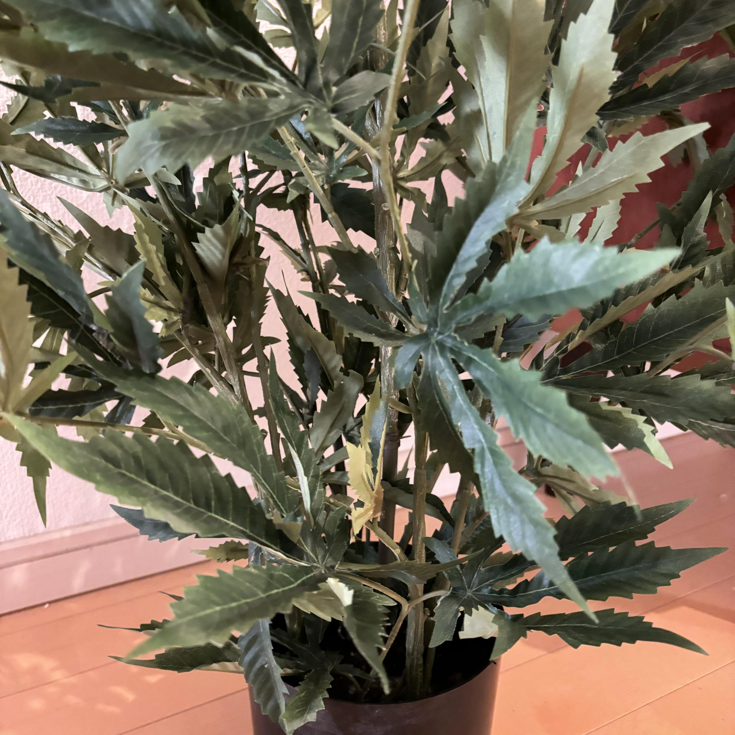 Amazon｜FeyFey フェイクグリーン 大麻 マリファナ CBD 造花 観葉植物  