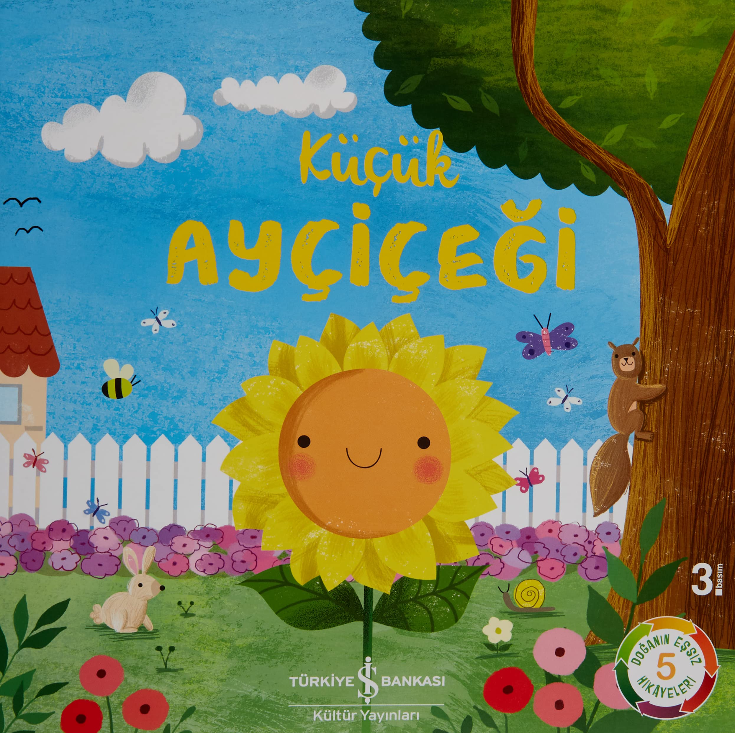Kücük Aycicegi