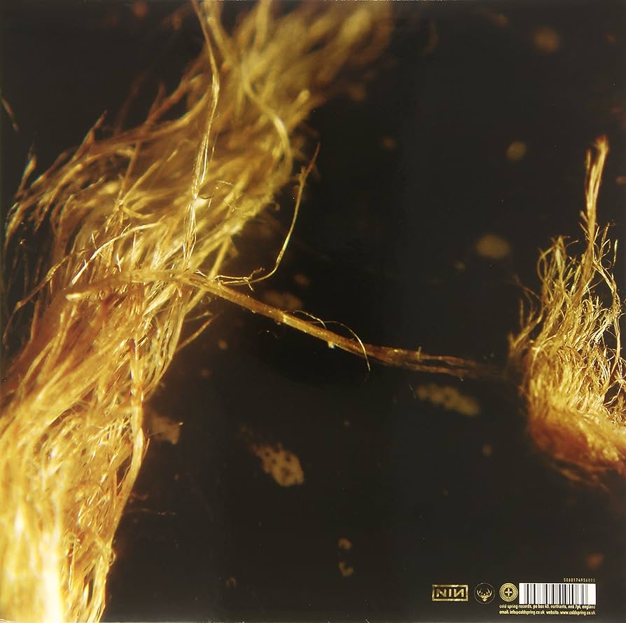 Recoiled: Amazon.pl: Płyty CD i winylowe