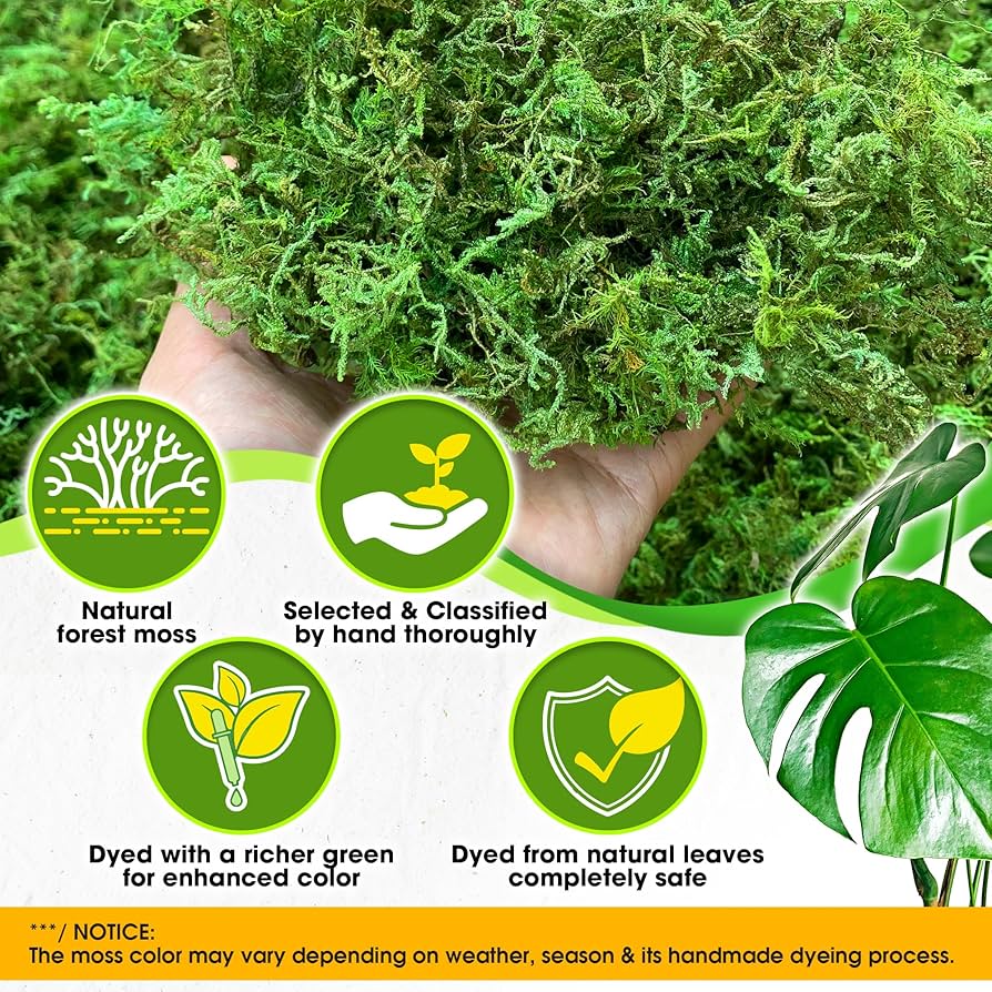 Amazon.com: [Upgraded] DUSPRO Green Moss for Crafts, Real Forest