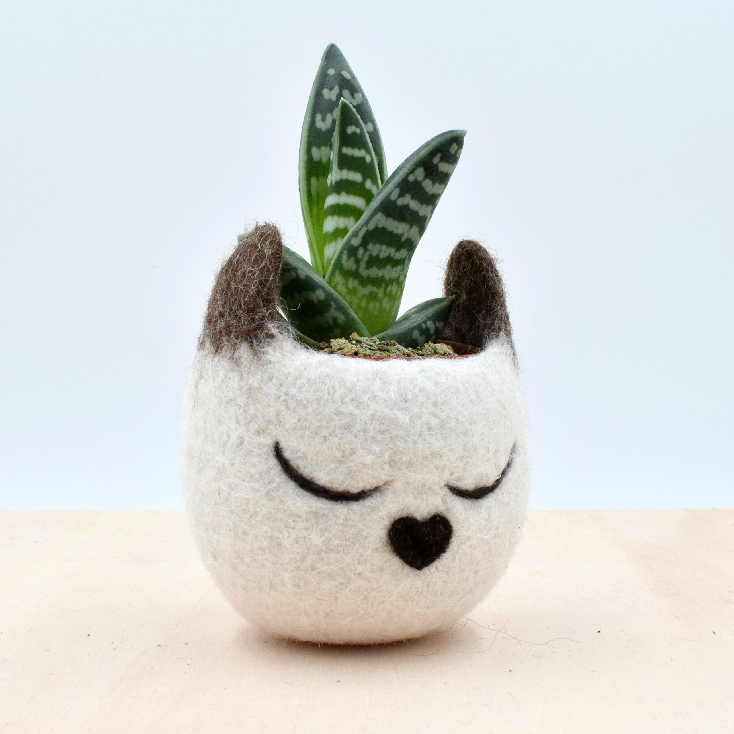 Siamese Cat lover gift for her / Felt succulent planter / Decorative Felt Flower Pot / Small indoor planter