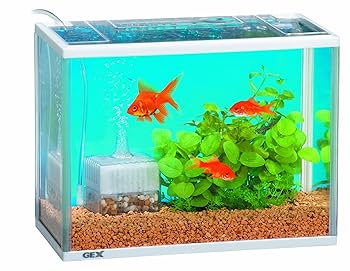 水槽、ポンプ、フィルター、PI試験、サテライト、ロカボーイ、ワンタッチフィルター 水槽、ポンプ、フィルター、PI試験、サテライト、ロカボーイ