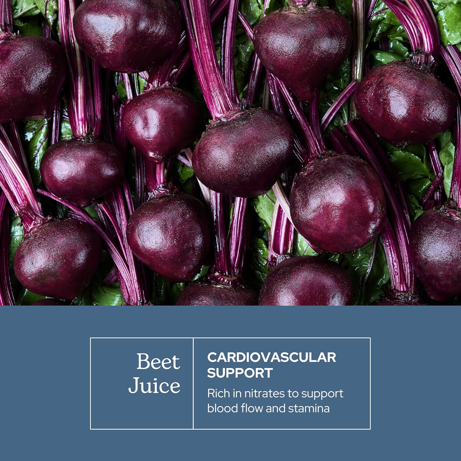Eclectic Herb - Premium Raw Freeze-Dried Beet Juice Capsules | Natural Herbal Supplement | Cardiovascular Health, Circulation & Blood Pressure Support | Organic, Vegan, Non-GMO (90 CT | 440 mg) - Image 3
