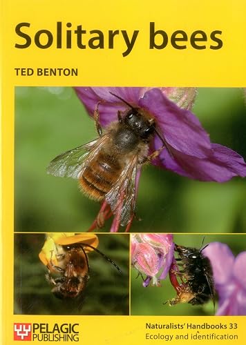 Solitary Bees: 33
